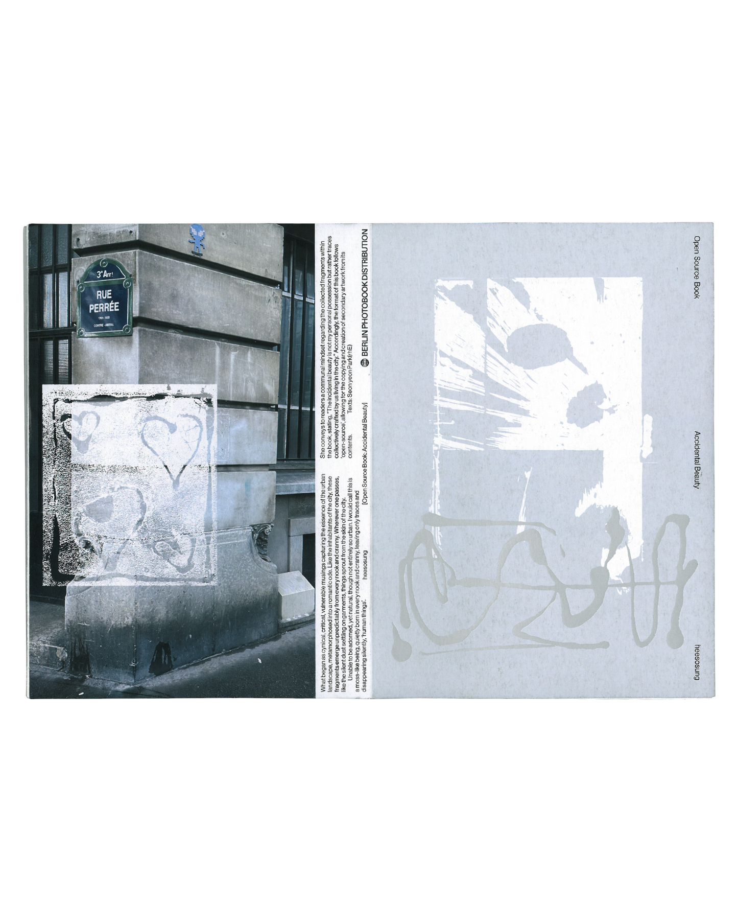 Open Source Book: Accidental Beauty