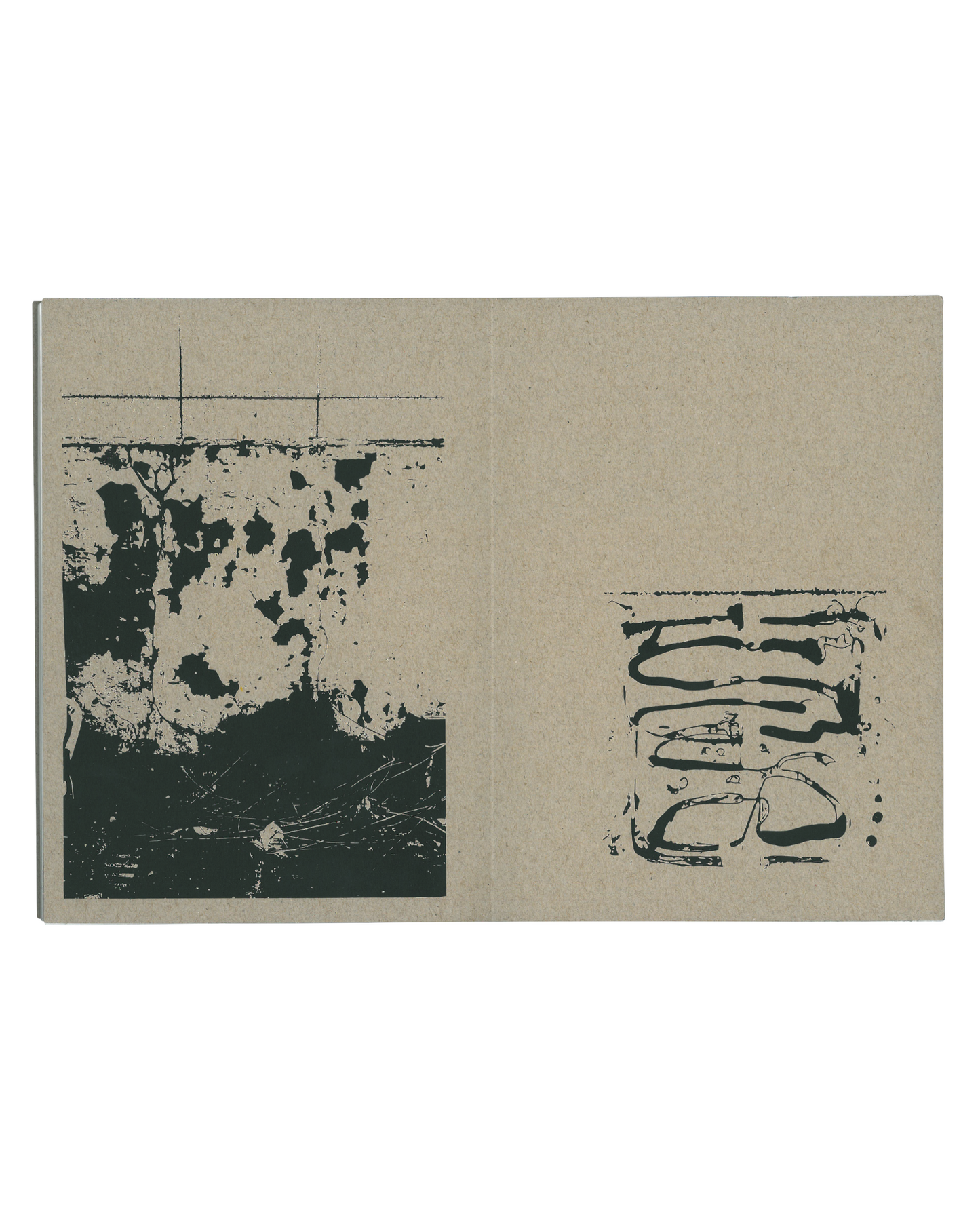 Open Source Book: Accidental Beauty