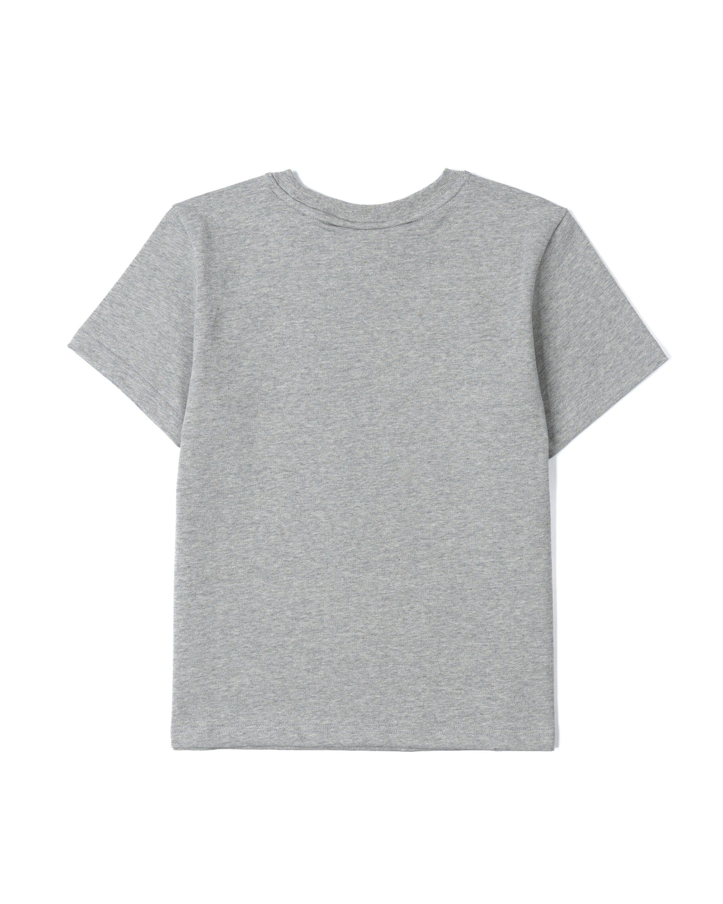 (W) 002 BFV Center Logo Tee (Gray)
