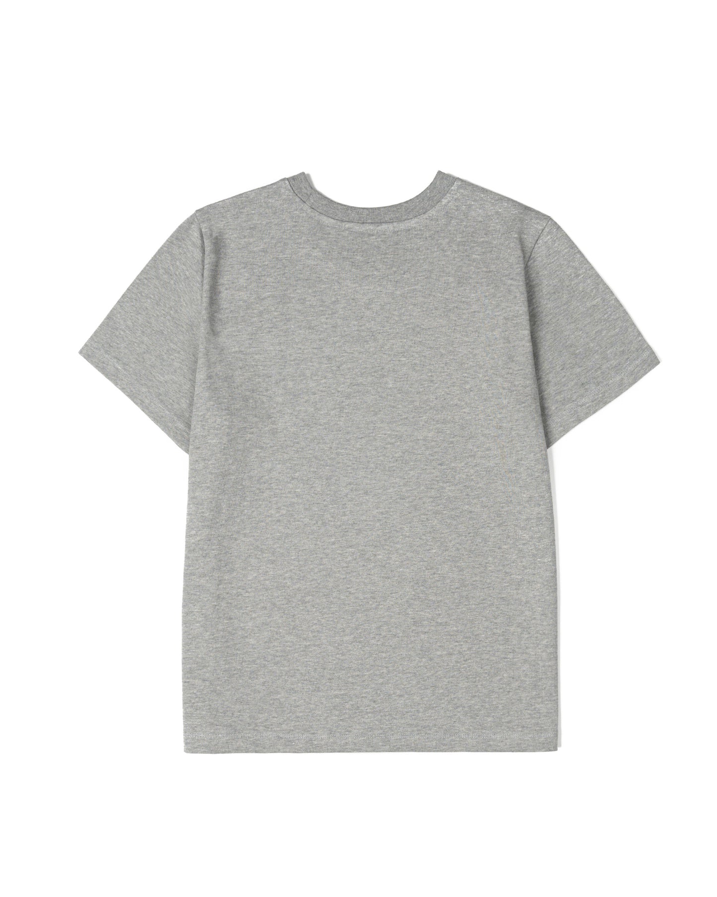 (W) Accidental Beauty Tee (Gray)