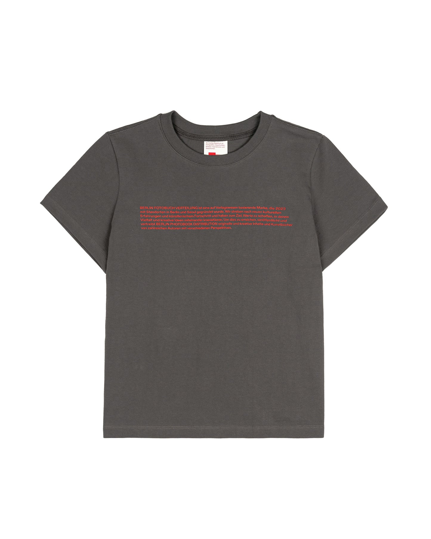 (W) Overview Tee (Charcoal gray)