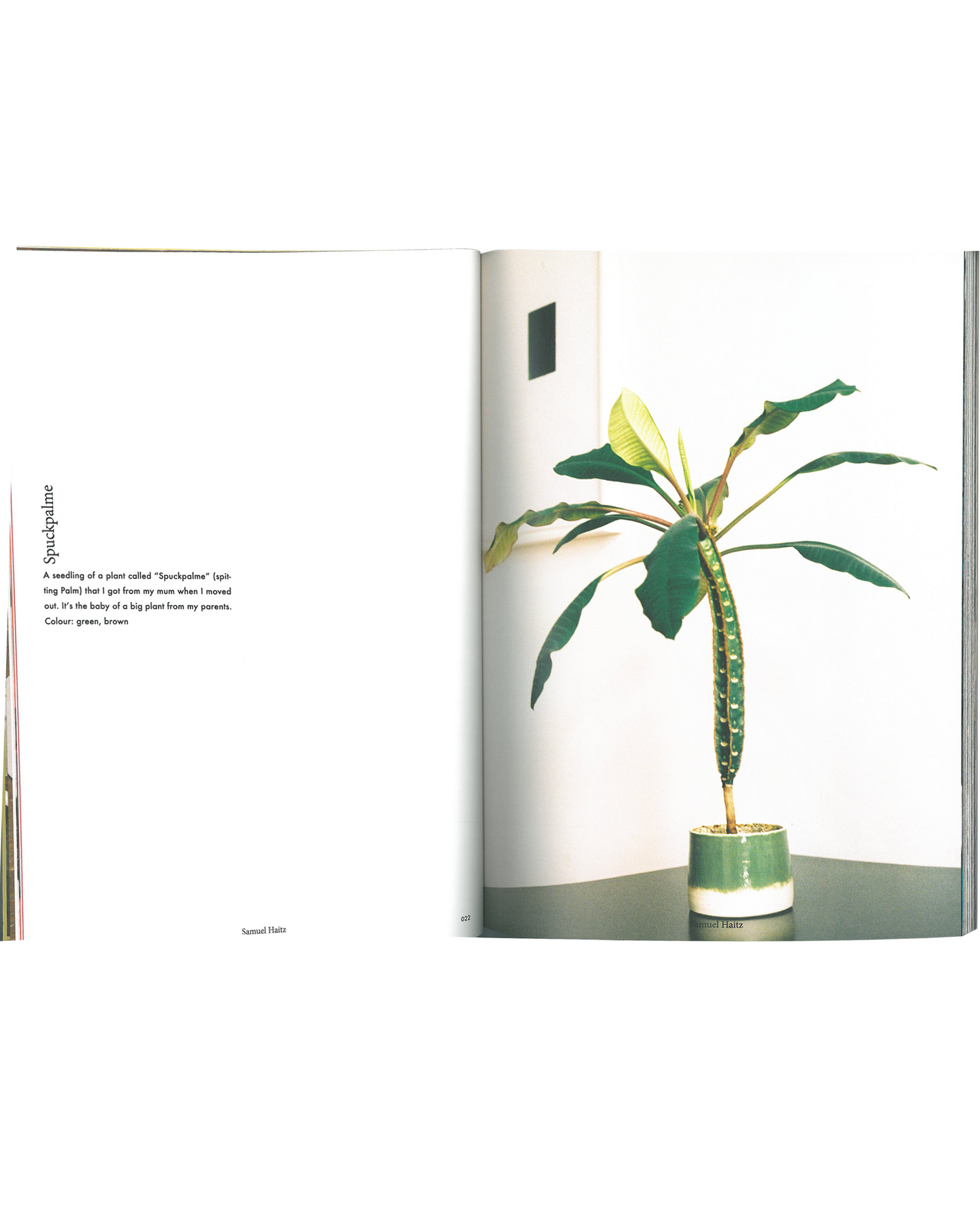 What are your 3 favourite objects?