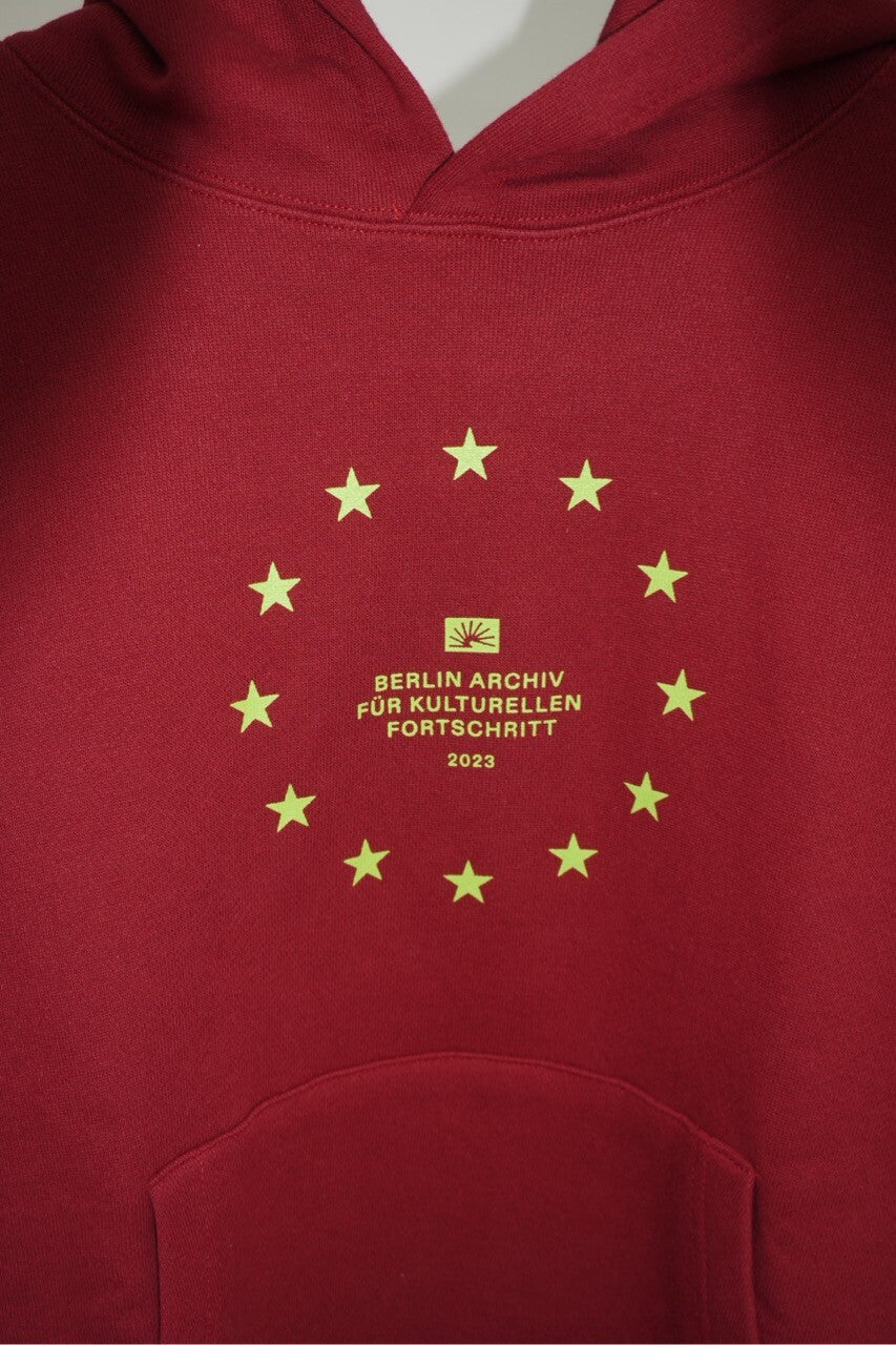 Archiv Symbol 001 Hoodie (Burgundy)