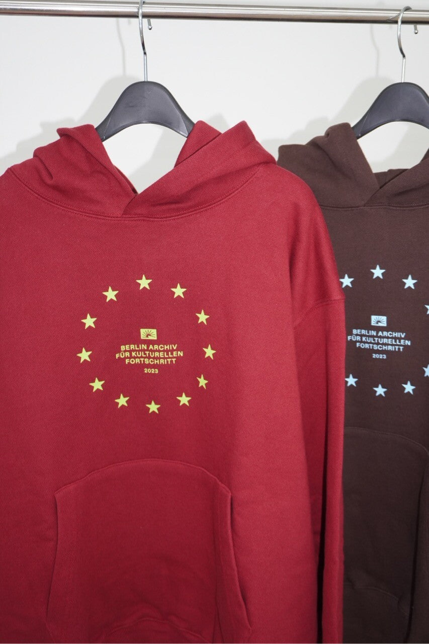 Archiv Symbol 001 Hoodie (Burgundy)