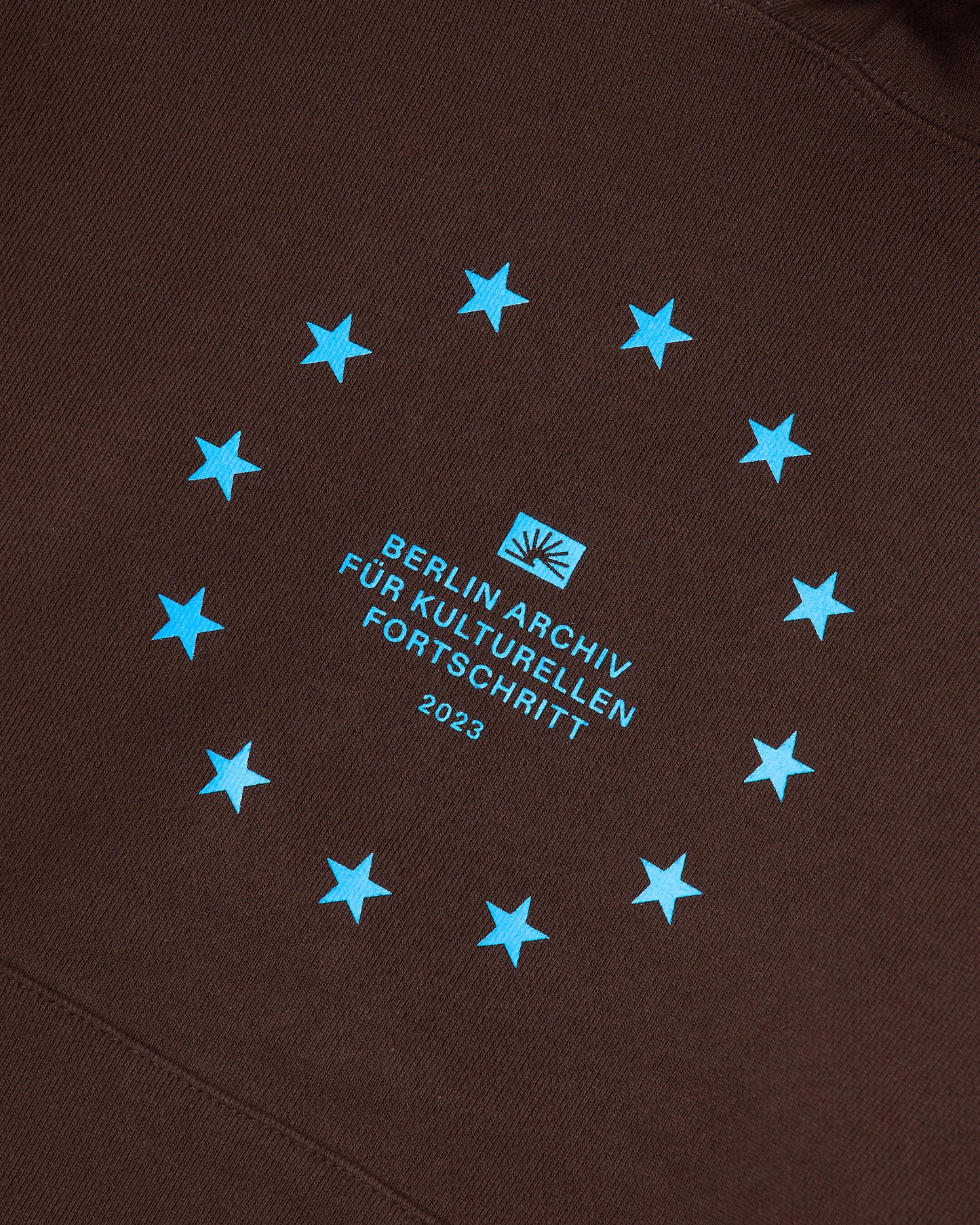 Archiv Symbol 001 Hoodie (Brown)