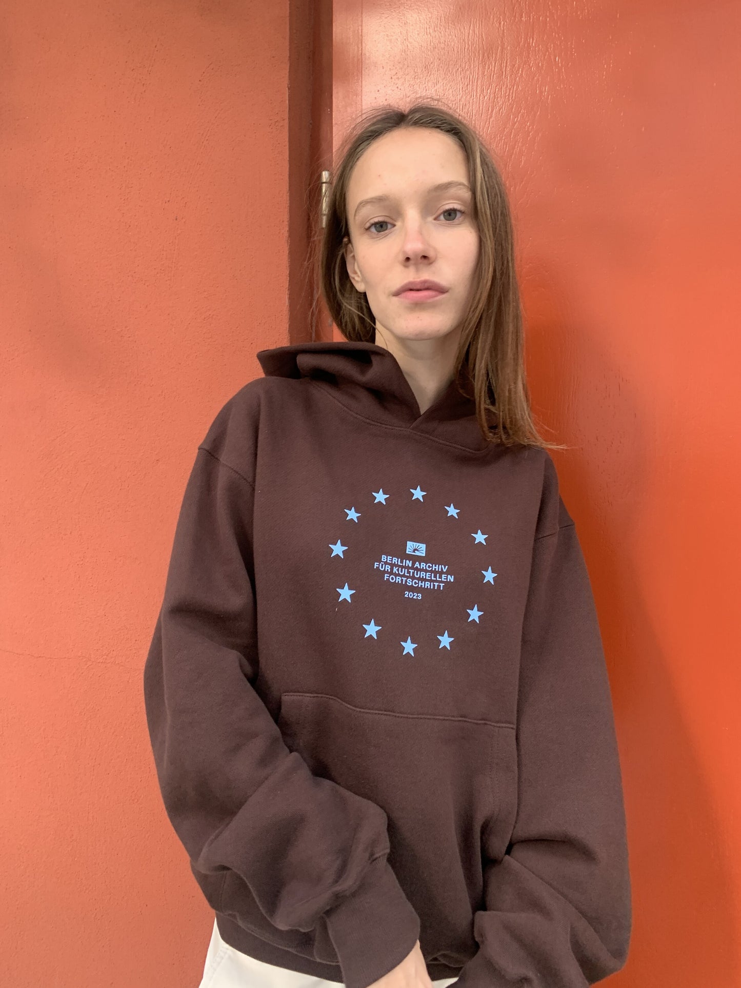Archiv Symbol 001 Hoodie (Brown)