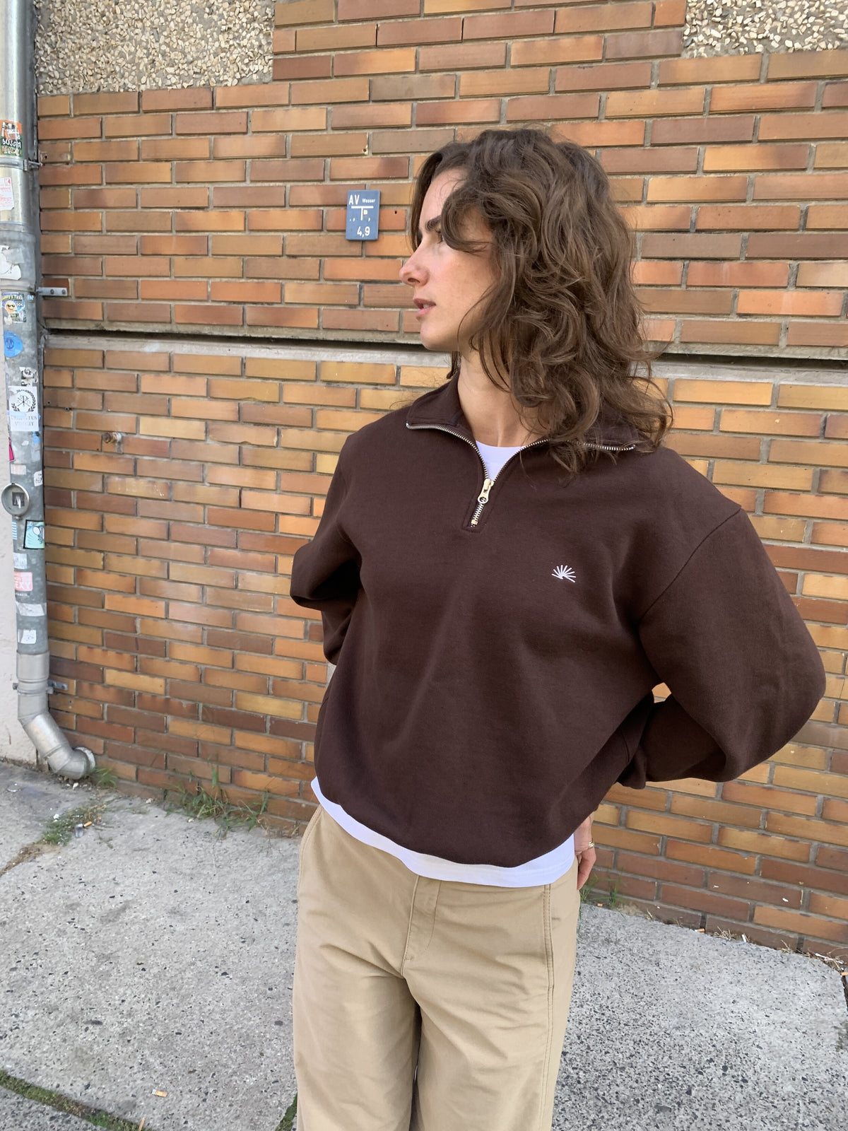 BFV Quarter Zip (Brown)